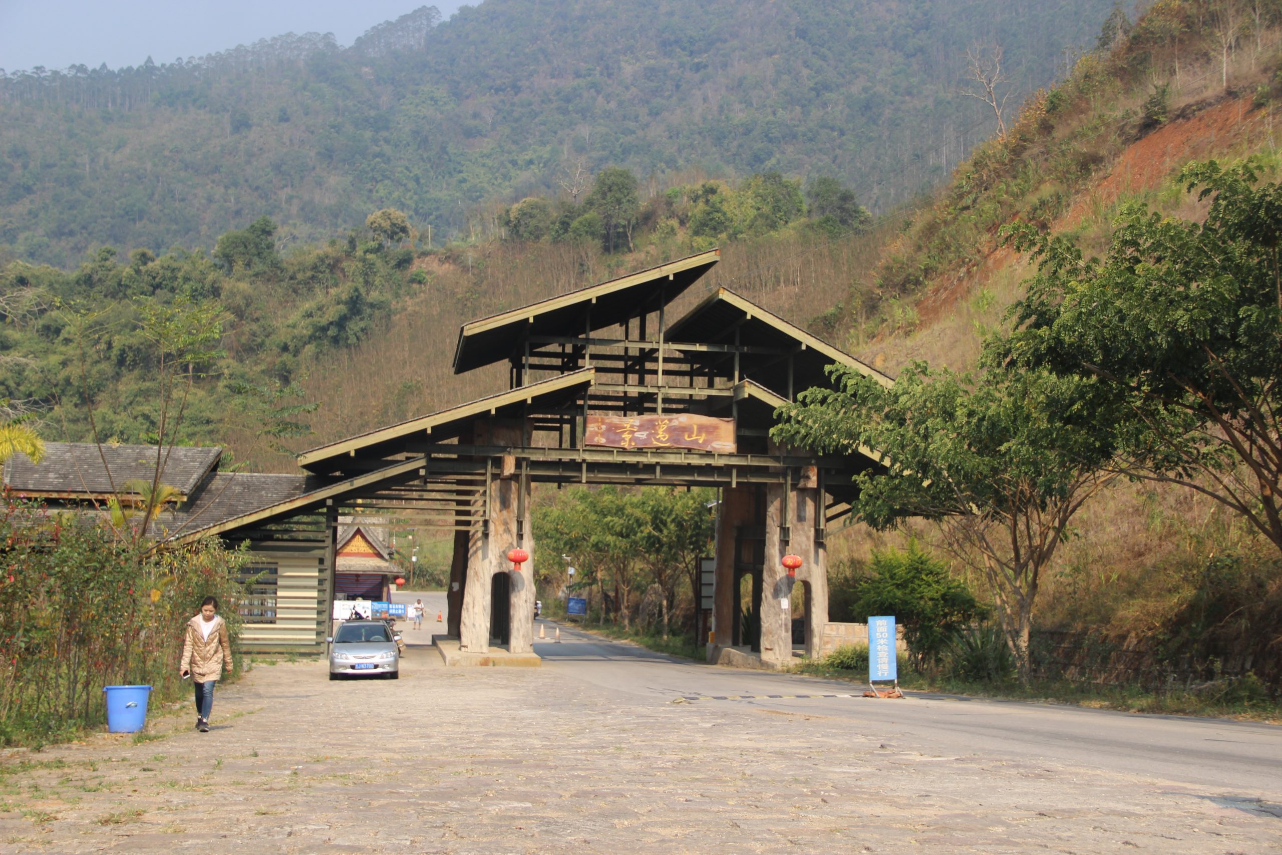 2023年景邁古樹春茶口感如何？