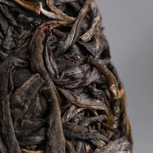 2023年迷帝古樹春茶價(jià)格是多少？