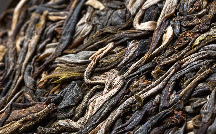 2023年冰島古樹(shù)春茶多少錢一公斤？