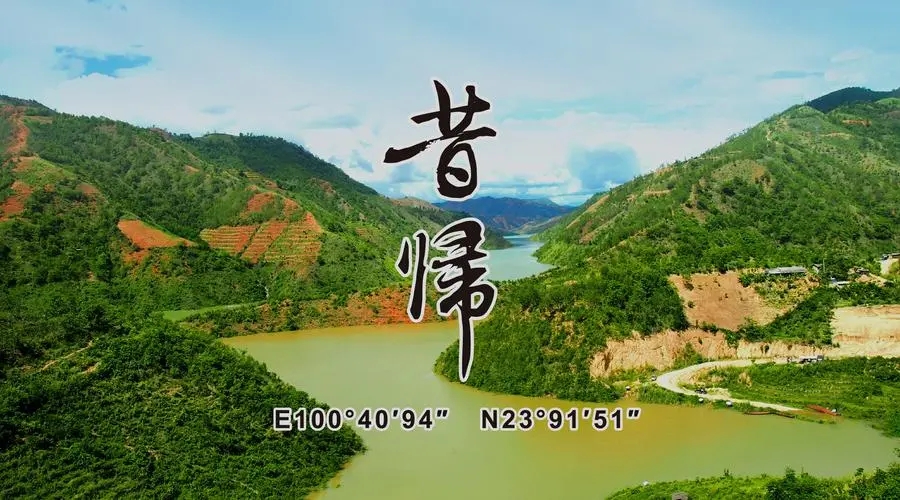 2023年昔歸古樹(shù)春茶品質(zhì)如何？