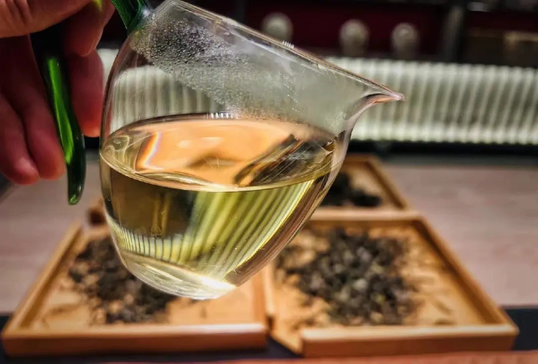 2023年鳳凰窩古樹春茶價(jià)格是多少？