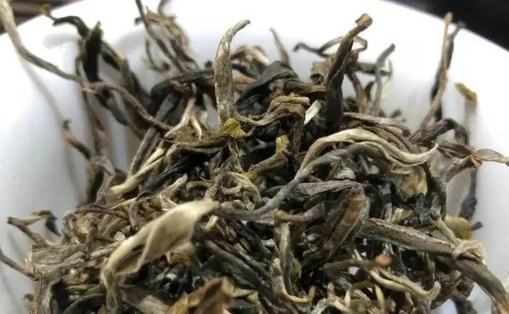 2023年鳳凰窩古樹(shù)春茶多少一公斤？