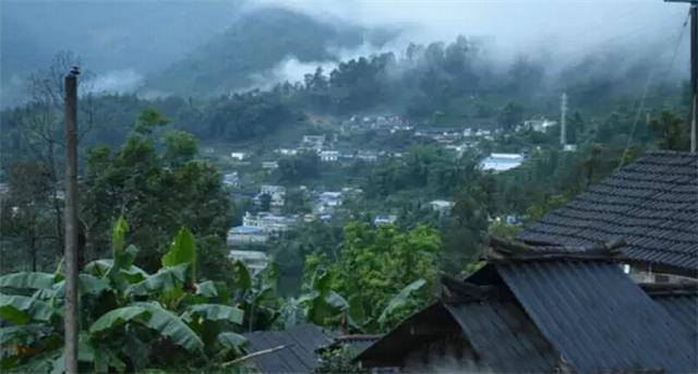 2023年勐庫豆腐寨古樹春茶口感怎么樣？