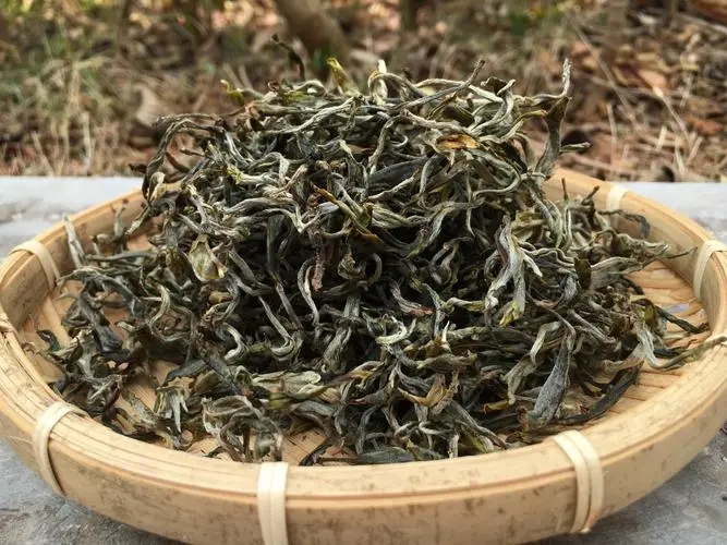 2023年易武張家灣古樹春茶品質(zhì)如何？