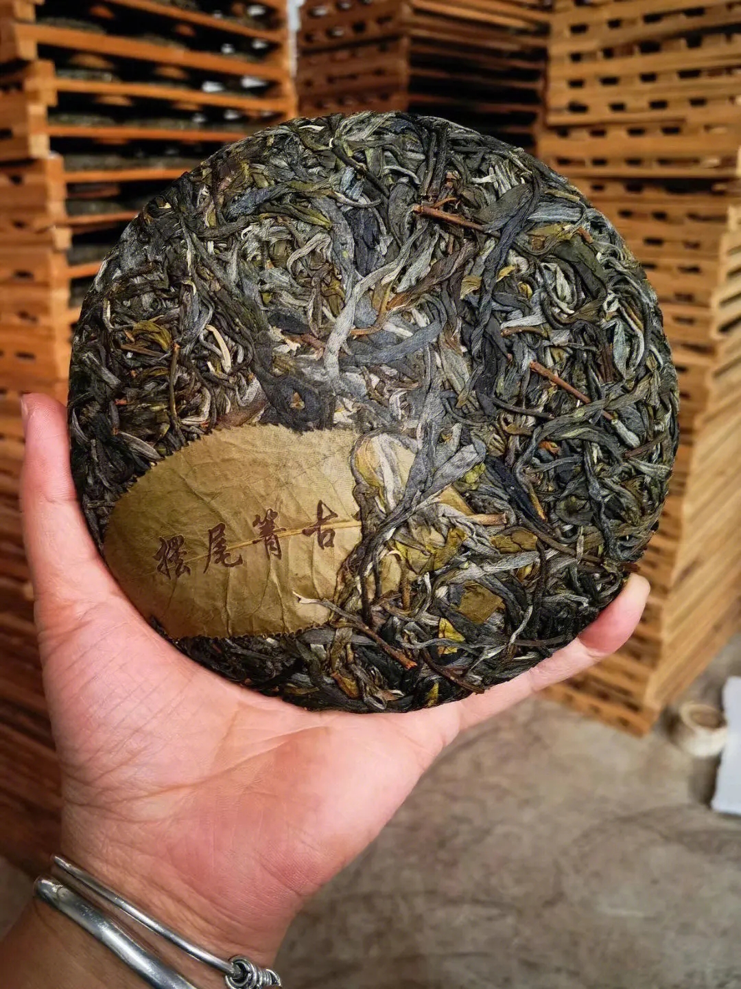 2023年寧洱擺尾箐古樹春茶品質(zhì)怎么樣？