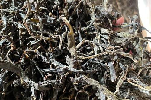 2023年鎮(zhèn)沅老烏山古樹春茶多少一公斤？