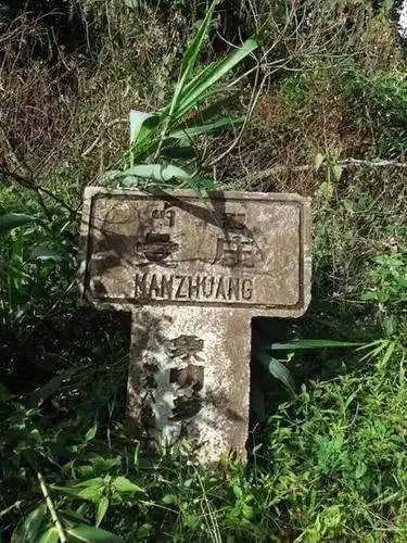 2025年蠻磚古樹春茶特點是什么？