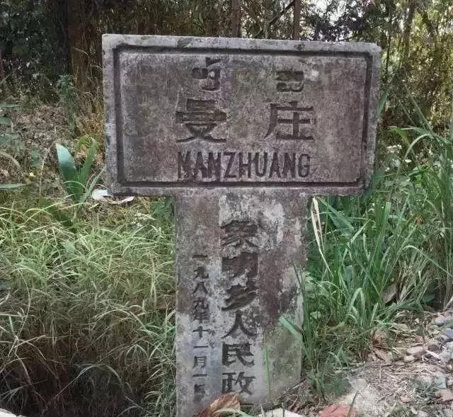 2025年蠻磚古樹春茶價格是多少？